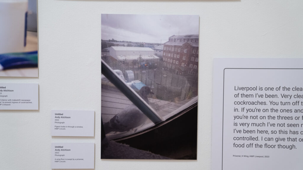 Pigeon looks in through a window, HMP/YOI Lincoln 2022